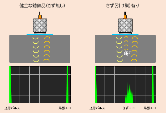 探触子（プローブ、トランスデューサー）