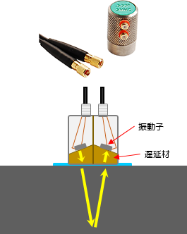 二振動子探触子