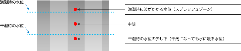 測定方法